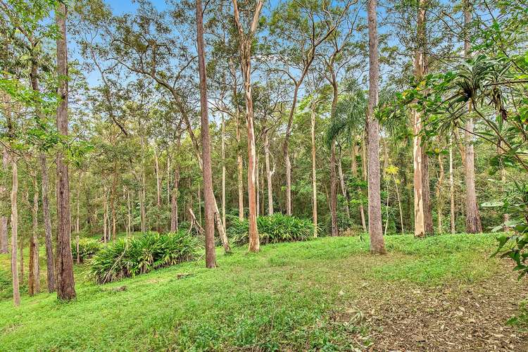 Third view of Homely acreageSemiRural listing, 7 Alice Bowden Court, Worongary QLD 4213