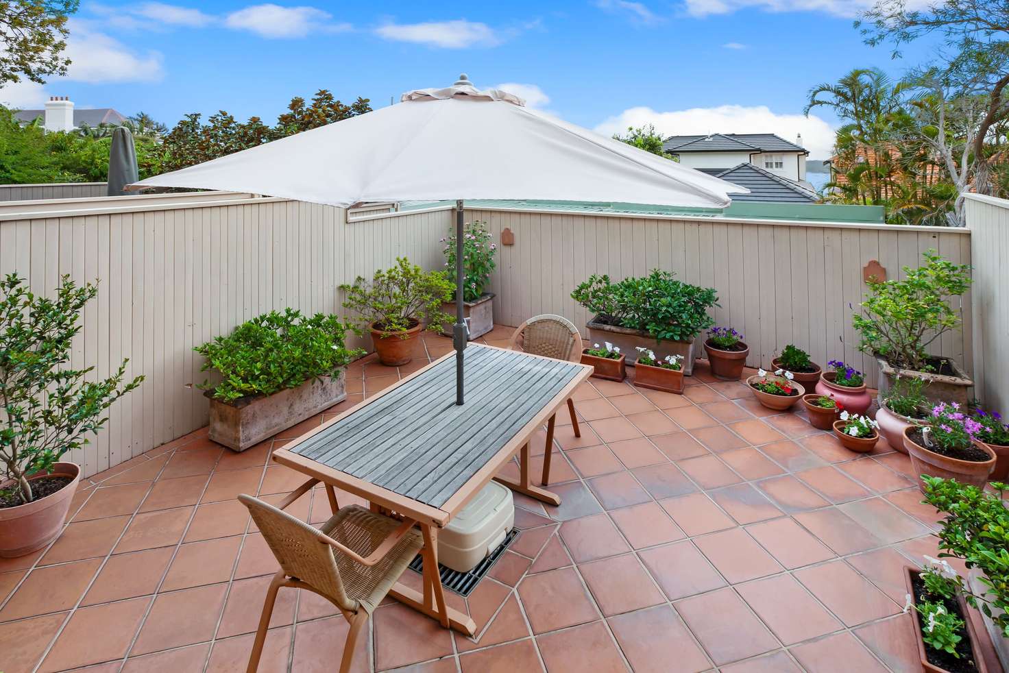Main view of Homely apartment listing, 1/93 Muston Street, Mosman NSW 2088
