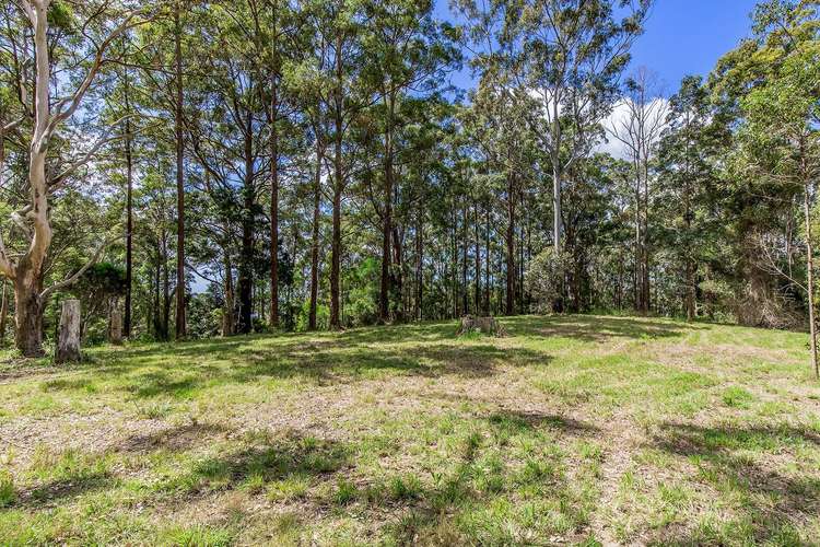 Main view of Homely residentialLand listing, 1806 Gold Coast Springbrook Road, Springbrook QLD 4213