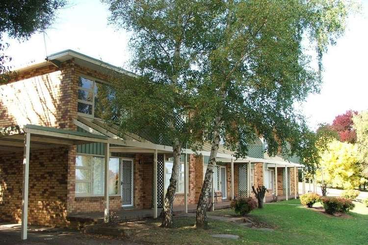 Main view of Homely unit listing, 1/80 Jessie Street, Armidale NSW 2350