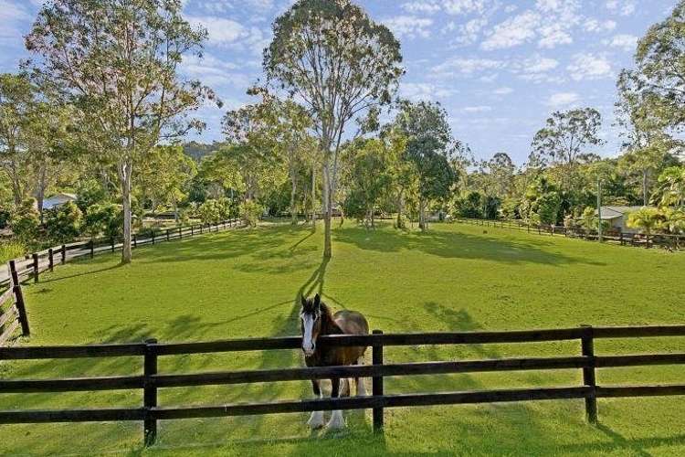 Fourth view of Homely acreageSemiRural listing, 286 Arcoona Road, Yandina Creek QLD 4561