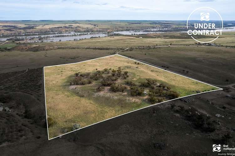 Lot 501 Woolshed Road, Mannum SA 5238