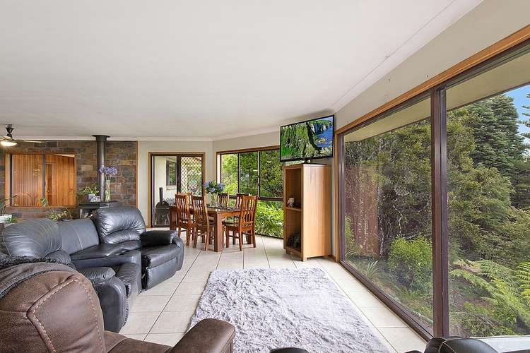 Second view of Homely house listing, 14 Bandicoot Lane, Springbrook QLD 4213