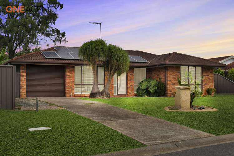 3 William Howe Place, Narellan Vale NSW 2567