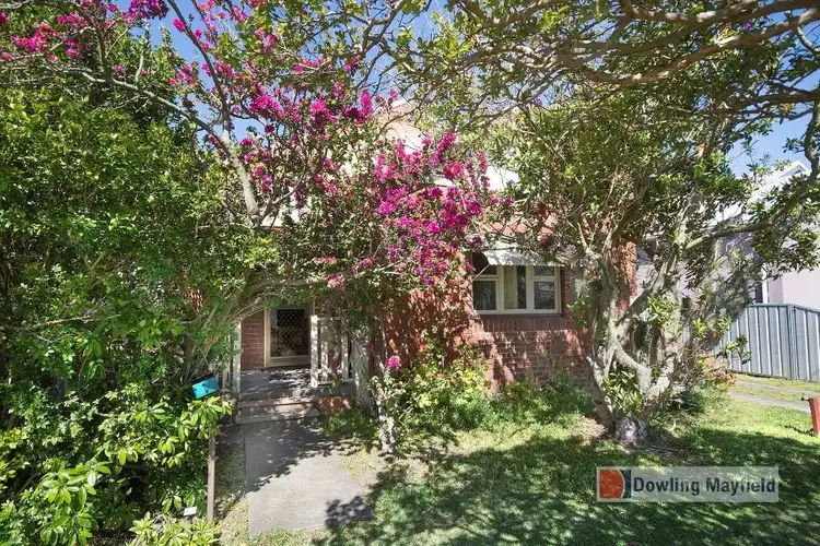 16 Cowper Street, Georgetown NSW 2298