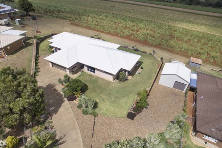 Main view of Homely house listing, 16 Linden Crescent, Qunaba QLD 4670