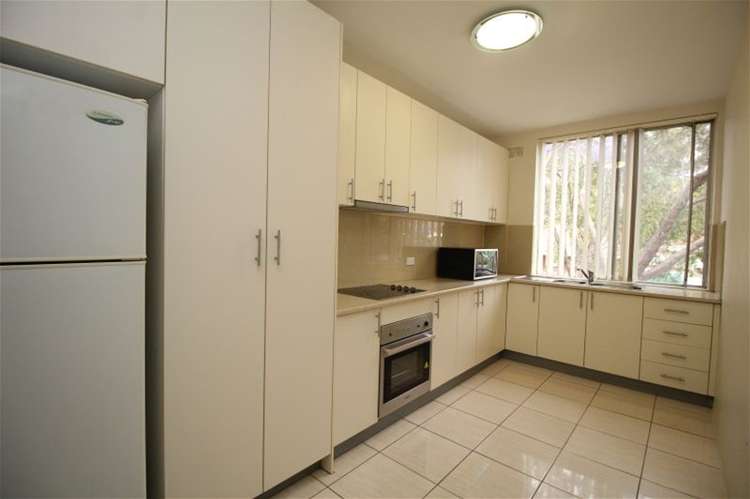 Main view of Homely unit listing, 24/75 Alice Street, Wiley Park NSW 2195