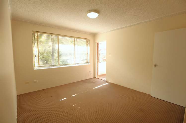 Third view of Homely unit listing, 3/49 Denman Avenue, Wiley Park NSW 2195