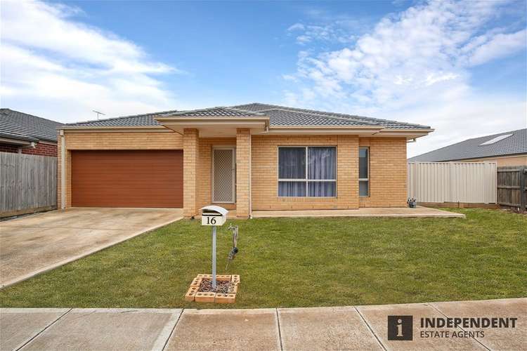 Main view of Homely house listing, 16 Hollybrook Street, Melton South VIC 3338