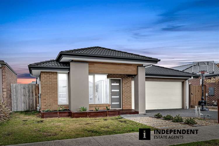 Main view of Homely house listing, 16 Bellman Avenue, Clyde VIC 3978