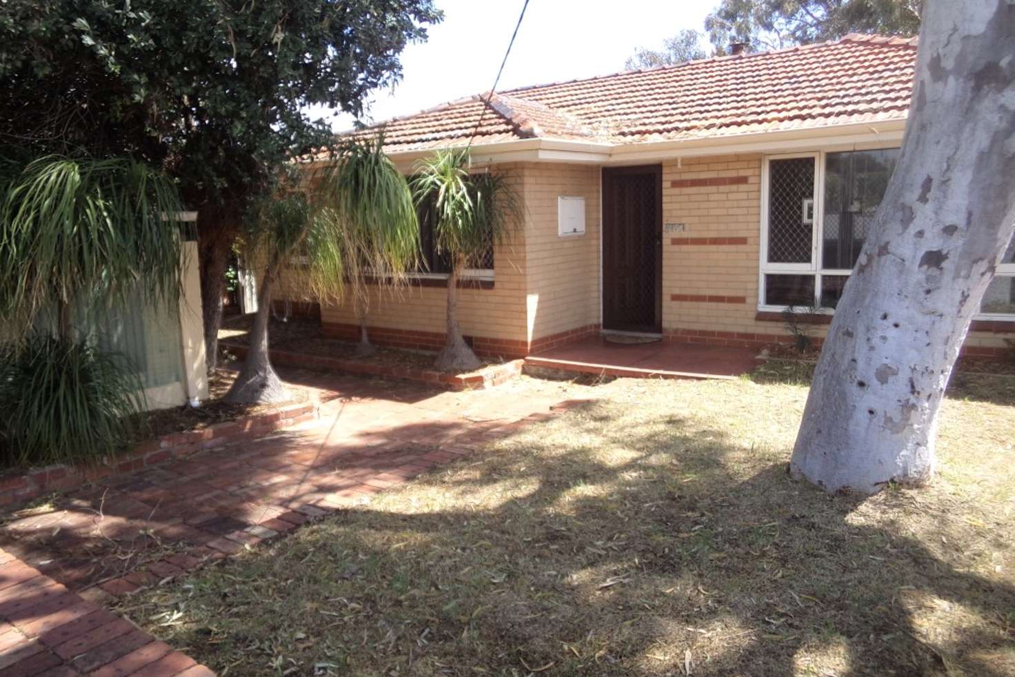 Main view of Homely house listing, 197 Mirrabooka Avenue, Balga WA 6061