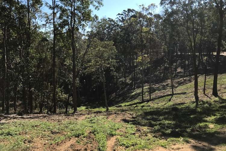 Second view of Homely residentialLand listing, 42 Missing Link Rd, Ilkley QLD 4554