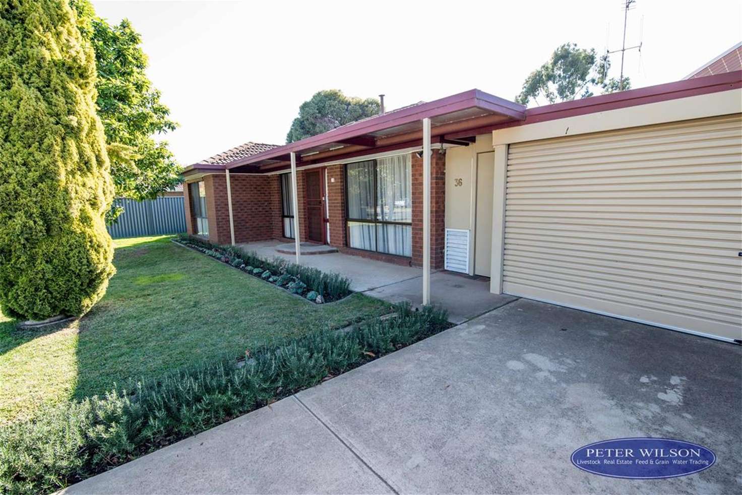 Main view of Homely house listing, 36 Banker Street, Barooga NSW 3644