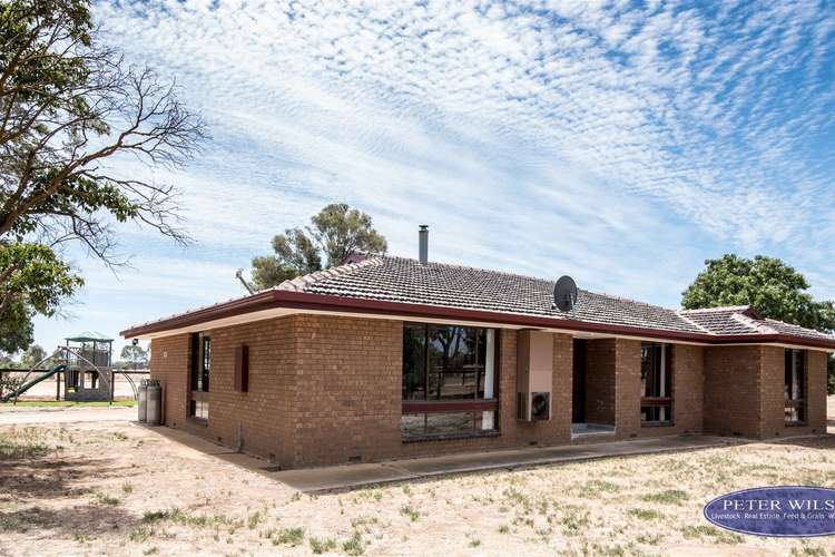 Fourth view of Homely lifestyle listing, 310 Andrews Road, Kyabram VIC 3620