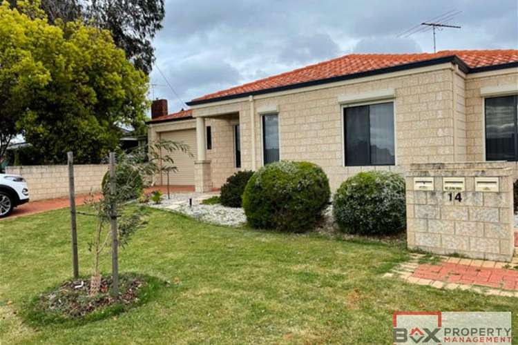 Main view of Homely house listing, 14A Ilumba Way, Nollamara WA 6061