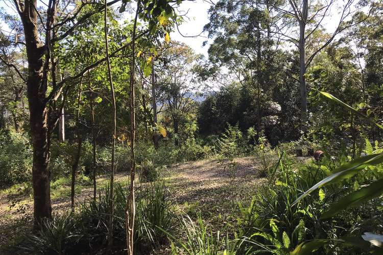 Fifth view of Homely acreageSemiRural listing, 904 Blue Knob Road, Nimbin NSW 2480