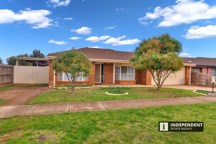 Fourth view of Homely house listing, 19 Clarendon Drive, Melton South VIC 3338