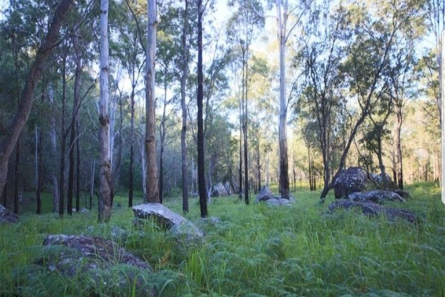 Main view of Homely residentialLand listing, 1554 Kangaroo Creek Road, Kangaroo Creek NSW 2460