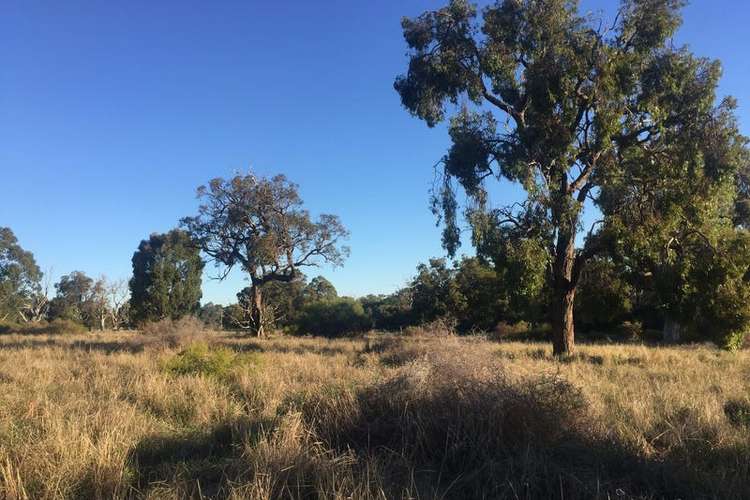 Main view of Homely residentialLand listing, Lot 851 Grasshill Road, Karnup WA 6176