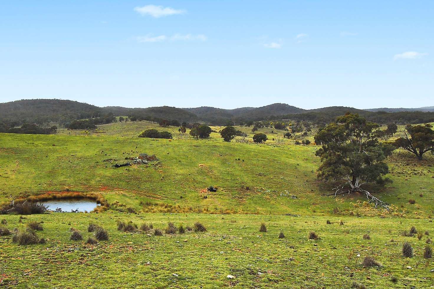 Main view of Homely residentialLand listing, 5504 Gundaroo Road, Gundaroo NSW 2620