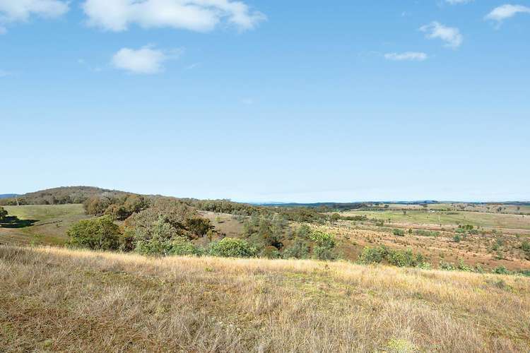 Second view of Homely ruralOther listing, 175 Berrebangelo Road, Gundaroo NSW 2620