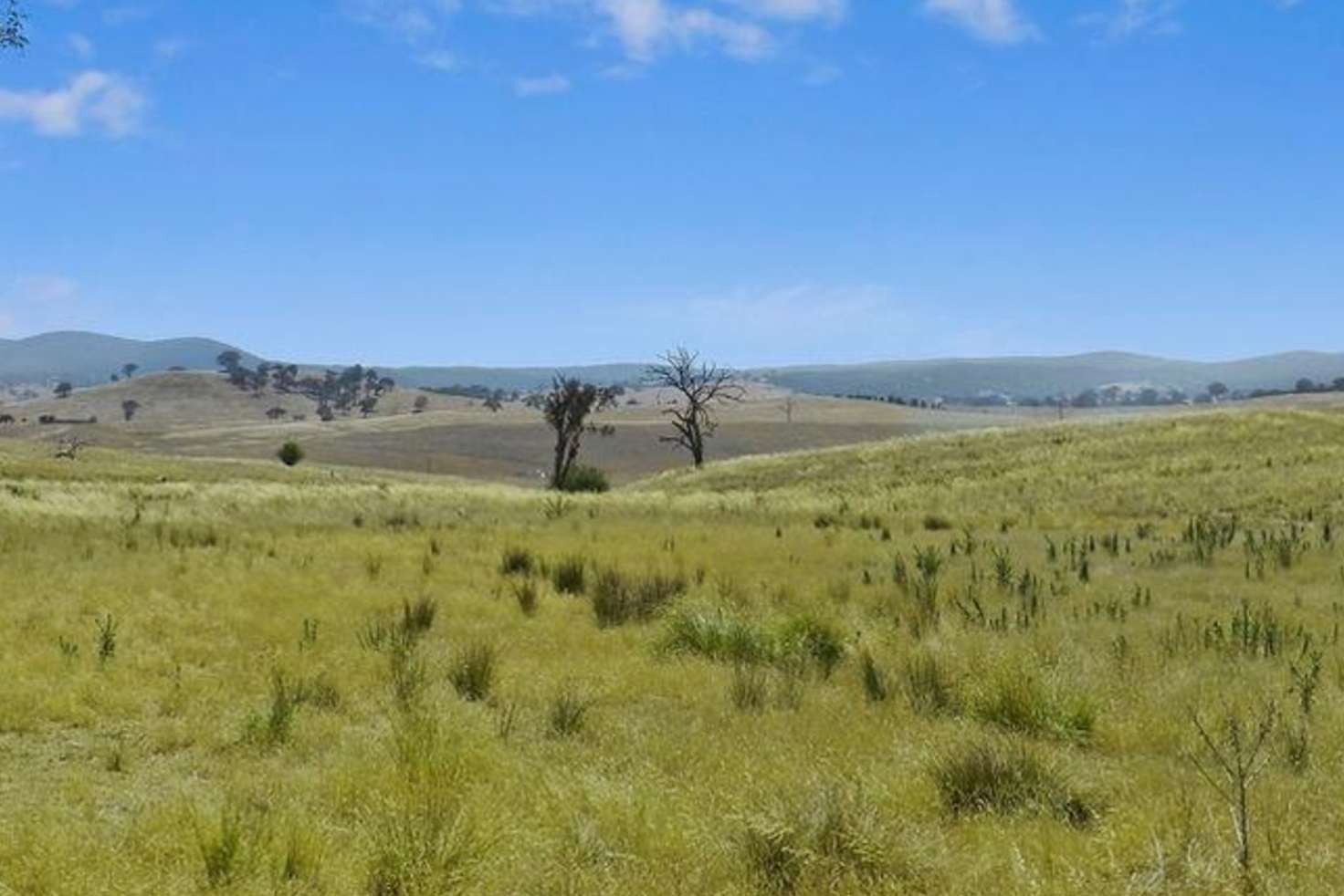 Main view of Homely ruralOther listing, Lot 103 Back Creek Road, Gundaroo NSW 2620