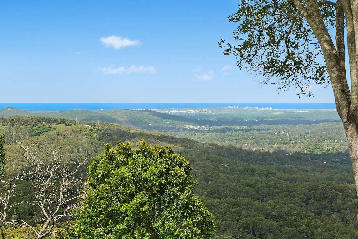 Main view of Homely residentialLand listing, 629 Maleny Montville Road, Balmoral Ridge QLD 4552