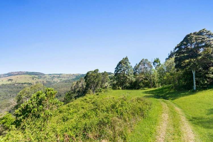 Fourth view of Homely residentialLand listing, 629 Maleny Montville Road, Balmoral Ridge QLD 4552