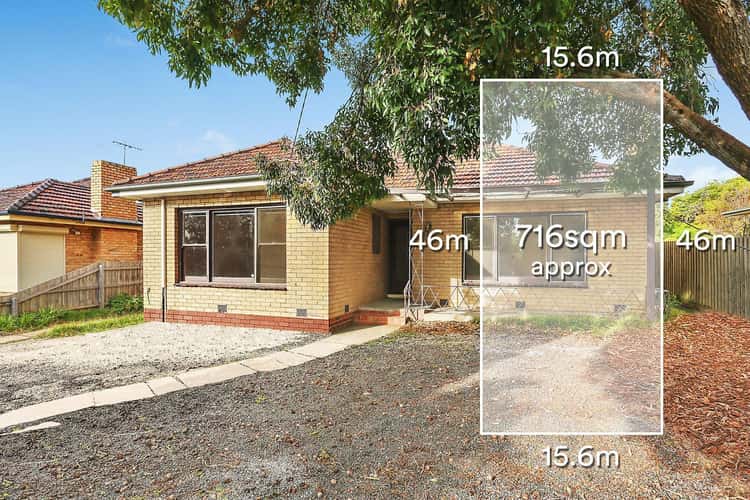 Main view of Homely house listing, 144 Middleborough Road, Blackburn South VIC 3130