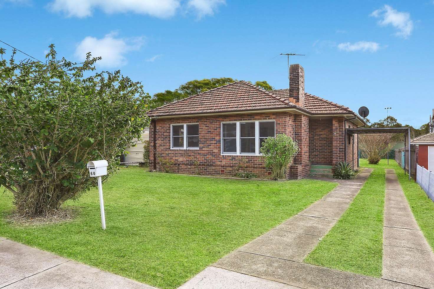 Main view of Homely house listing, 60 Shaw Street, Bexley North NSW 2207