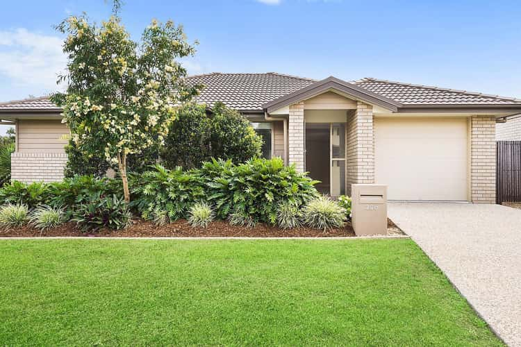 Fourth view of Homely semiDetached listing, 2/20 Millstream Place, Pimpama QLD 4209