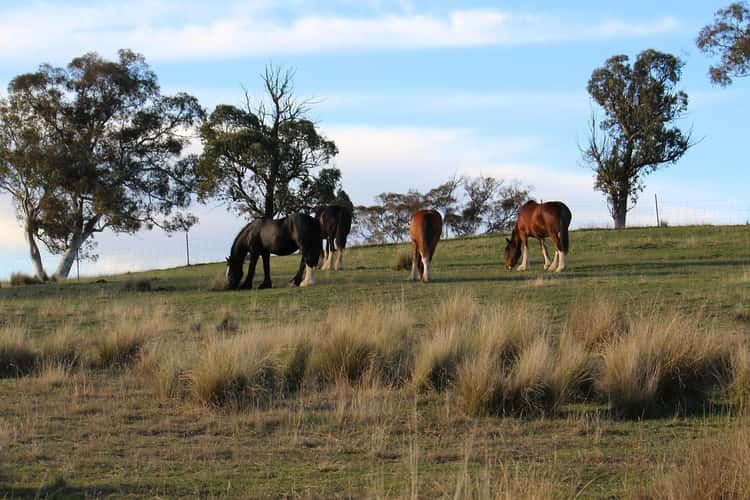 Main view of Homely residentialLand listing, Proposed Lot 2/840 Marked Tree Road, Gundaroo NSW 2620