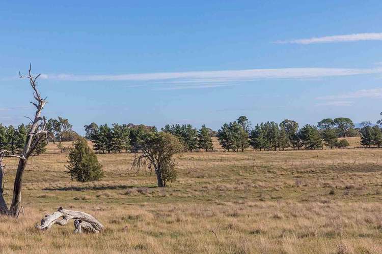 Fourth view of Homely residentialLand listing, 149 Dairy Creek Road, Gundaroo NSW 2620