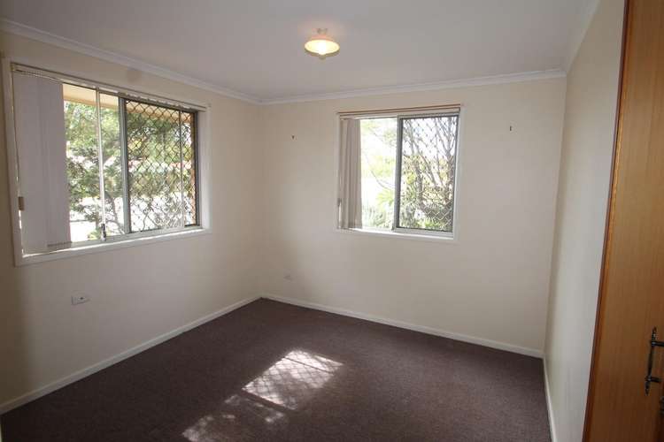 Fifth view of Homely apartment listing, 1/34 Hibiscus Drive, Centenary Heights QLD 4350