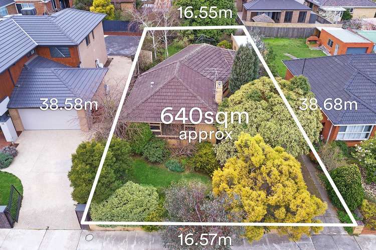 Third view of Homely house listing, 36 Harrison Street, Box Hill North VIC 3129
