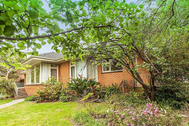 Main view of Homely house listing, 48 Laburnum Street, Blackburn VIC 3130