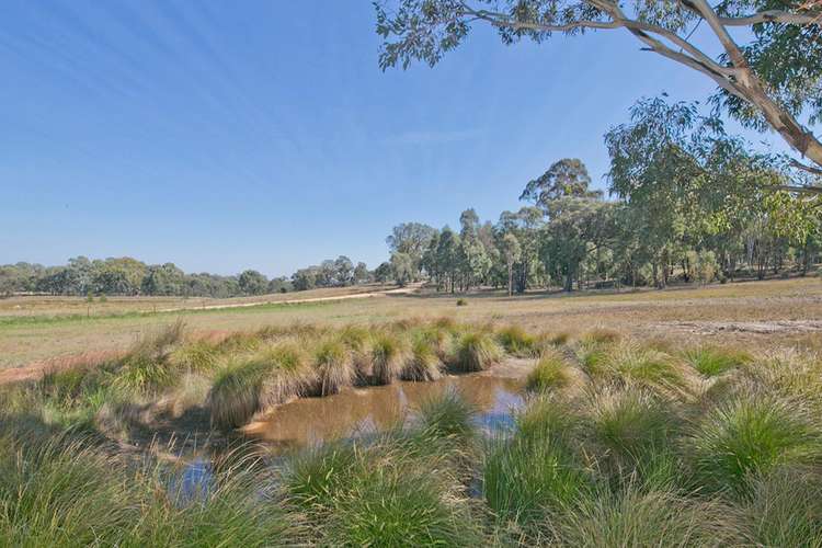 Fifth view of Homely house listing, 171 Marked Tree Road, Gundaroo NSW 2620