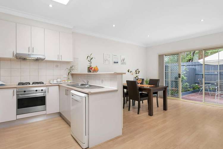 Main view of Homely villa listing, 3/16 Therese Avenue, Mount Waverley VIC 3149