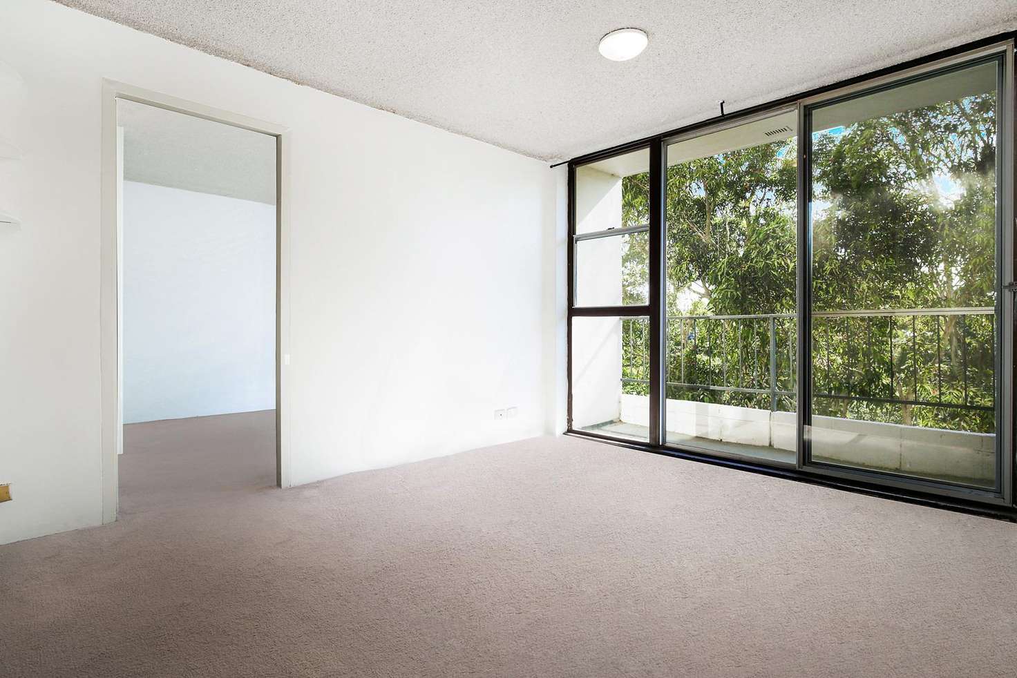 Main view of Homely apartment listing, 5C/12 Bligh Place, Randwick NSW 2031