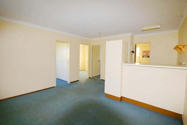 Main view of Homely apartment listing, 3/55 Boodera Road, Palm Beach QLD 4221