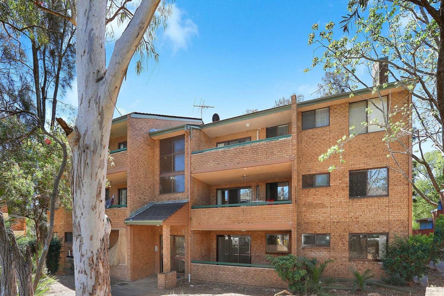 Main view of Homely apartment listing, 4/21 Myrtle Road, Bankstown NSW 2200