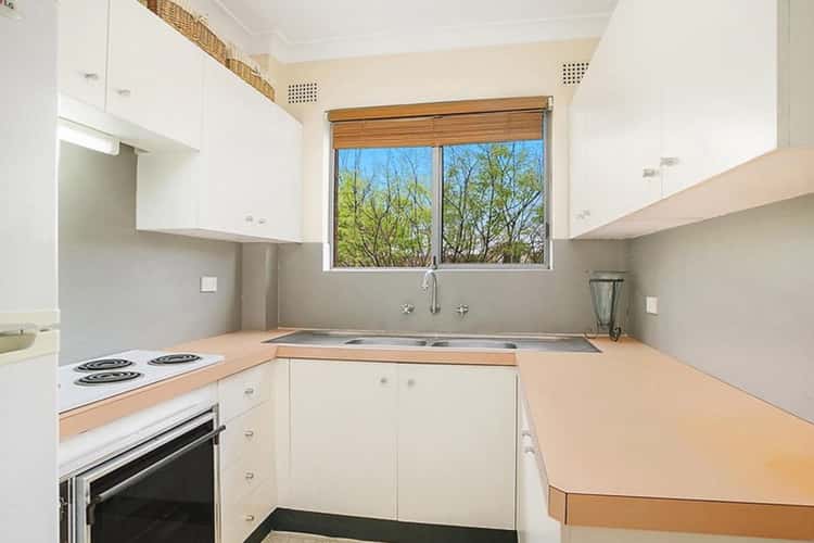 Second view of Homely apartment listing, 3/156 Penshurst Street, Willoughby NSW 2068