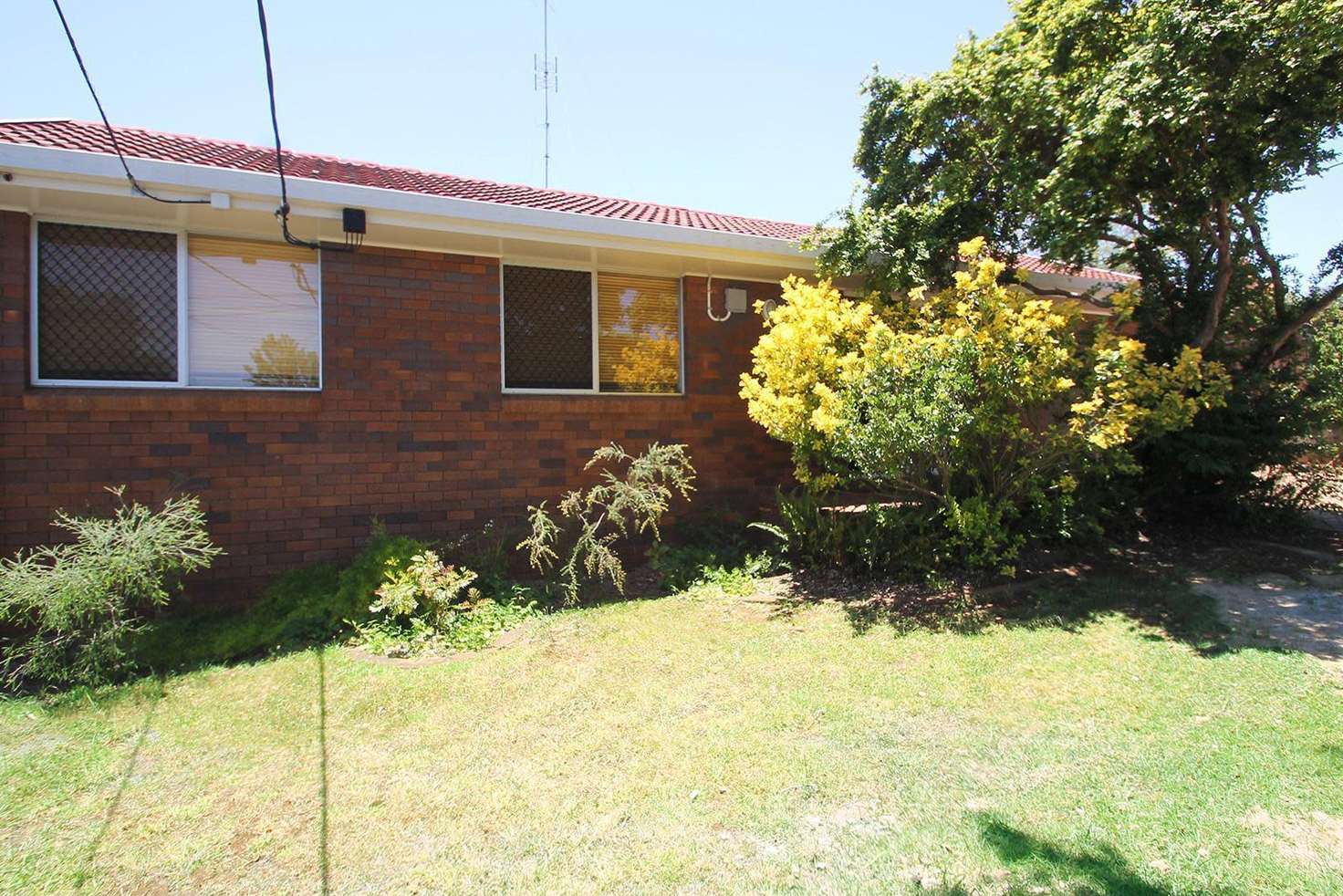 Main view of Homely unit listing, 1/45 Cleary Street, Centenary Heights QLD 4350