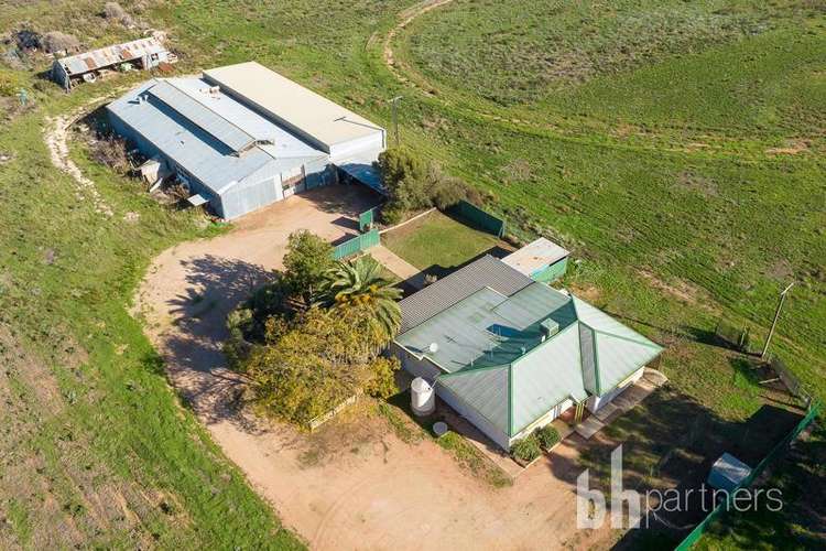 Main view of Homely house listing, 693 Thiele Road, Loveday SA 5345