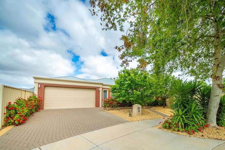 Main view of Homely house listing, 9 Rodeo Drive, Mildura VIC 3500