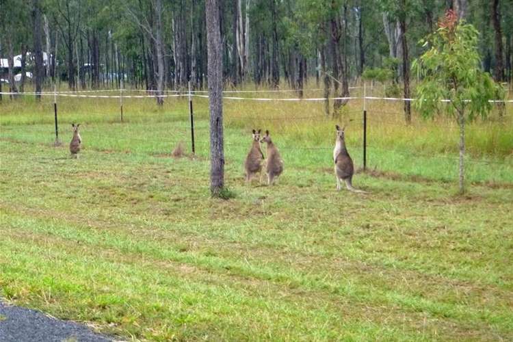 Seventh view of Homely residentialLand listing, LOT L686/98 Jacaranda Drive, Ravenshoe QLD 4888