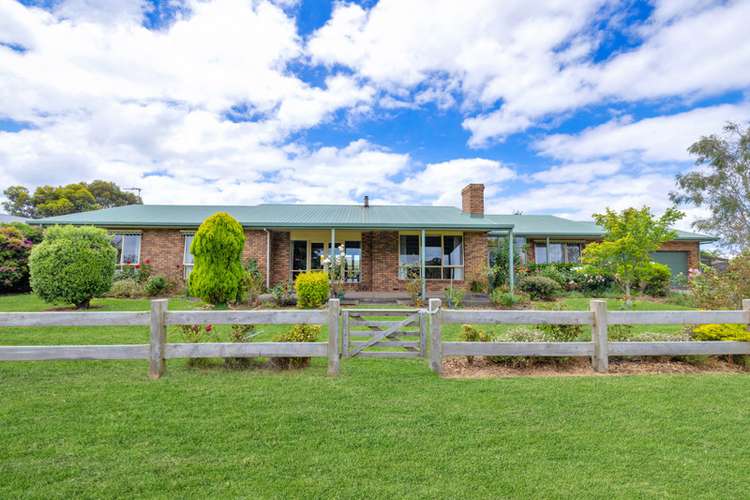 Main view of Homely house listing, 14 Hardy Street, Terang VIC 3264