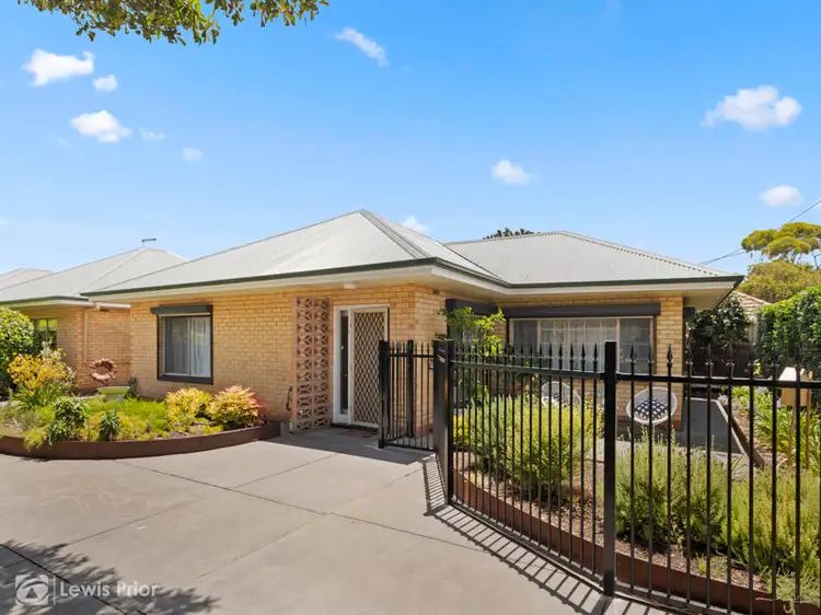 1/2 Frederick Street