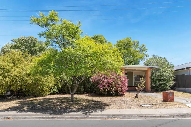 12 Berryman Drive