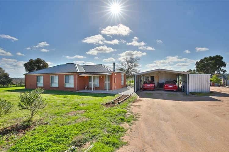 97 Cureton Avenue, Nichols Point VIC 3501